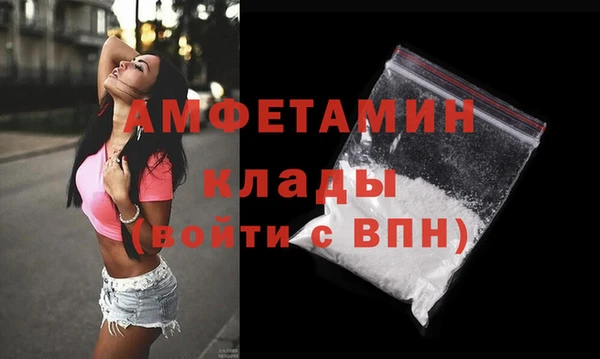 индика Саяногорск