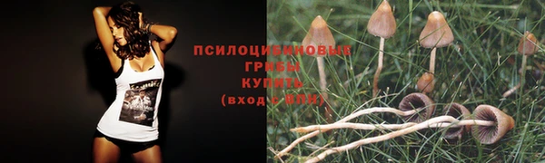индика Саяногорск