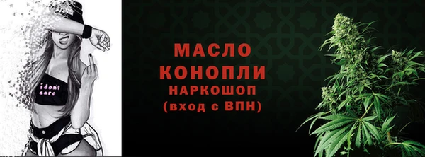 индика Саяногорск