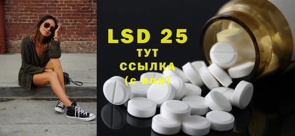 стаф Ельня