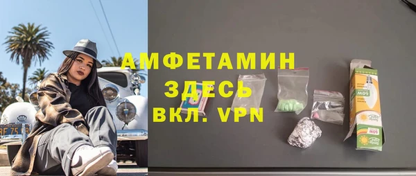 индика Саяногорск