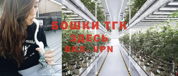 индика Саяногорск