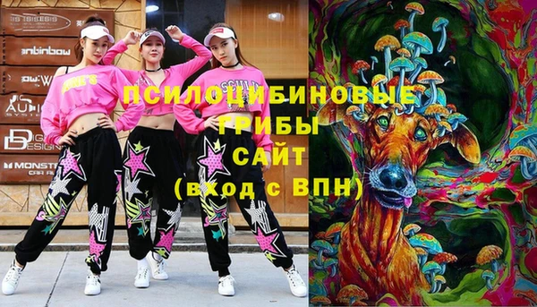 индика Саяногорск
