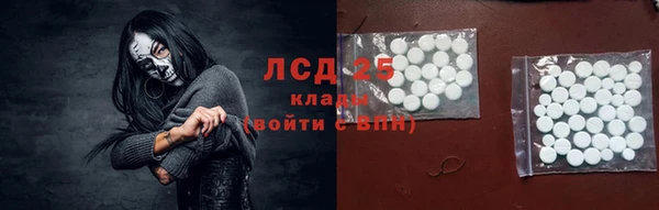 хмурый Сатка
