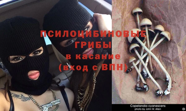 марихуана Елизово