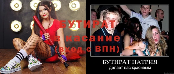 стаф Ельня