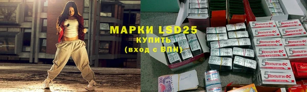 хмурый Сатка