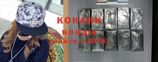 индика Саяногорск