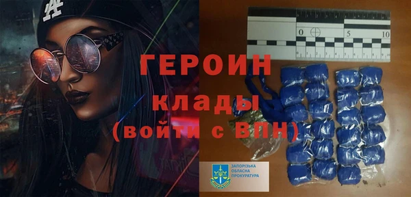 индика Саяногорск