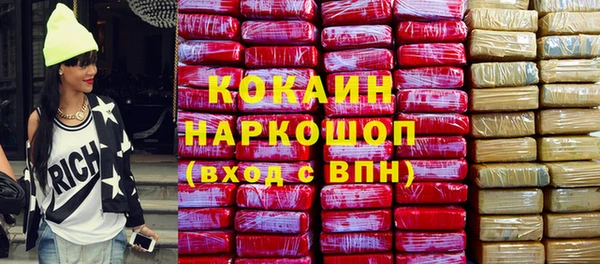 индика Саяногорск