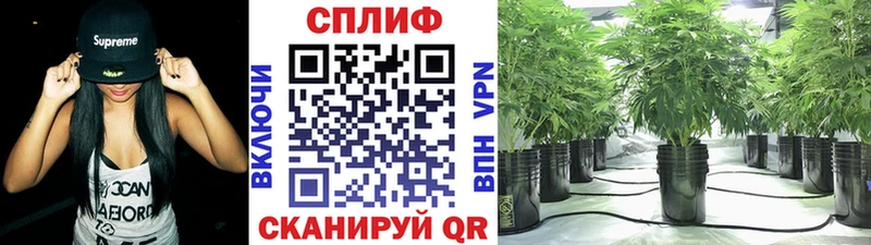 где продают наркотики  Нижнеудинск  Марихуана конопля 